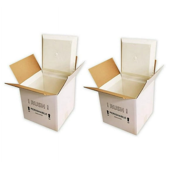 SF11A EcoFriendly Insulated Shipping Cooler, 11" x 9" x 9" (Pack of 2)(8" x 6" x 6" Inside)