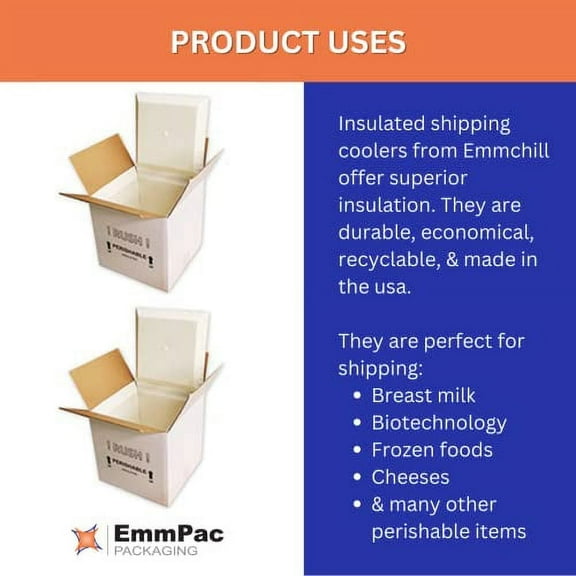 SF11A EcoFriendly Insulated Shipping Cooler, 11" x 9" x 9" (Pack of 2)(8" x 6" x 6" Inside)