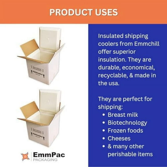 SF12A EcoFriendly Insulated Shipping Cooler, 12" x 12" x 12" (Pack of 2)(9" x 9" x 9" Inside)
