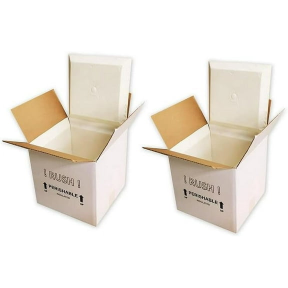 SF12A EcoFriendly Insulated Shipping Cooler, 12" x 12" x 12" (Pack of 2)(9" x 9" x 9" Inside)