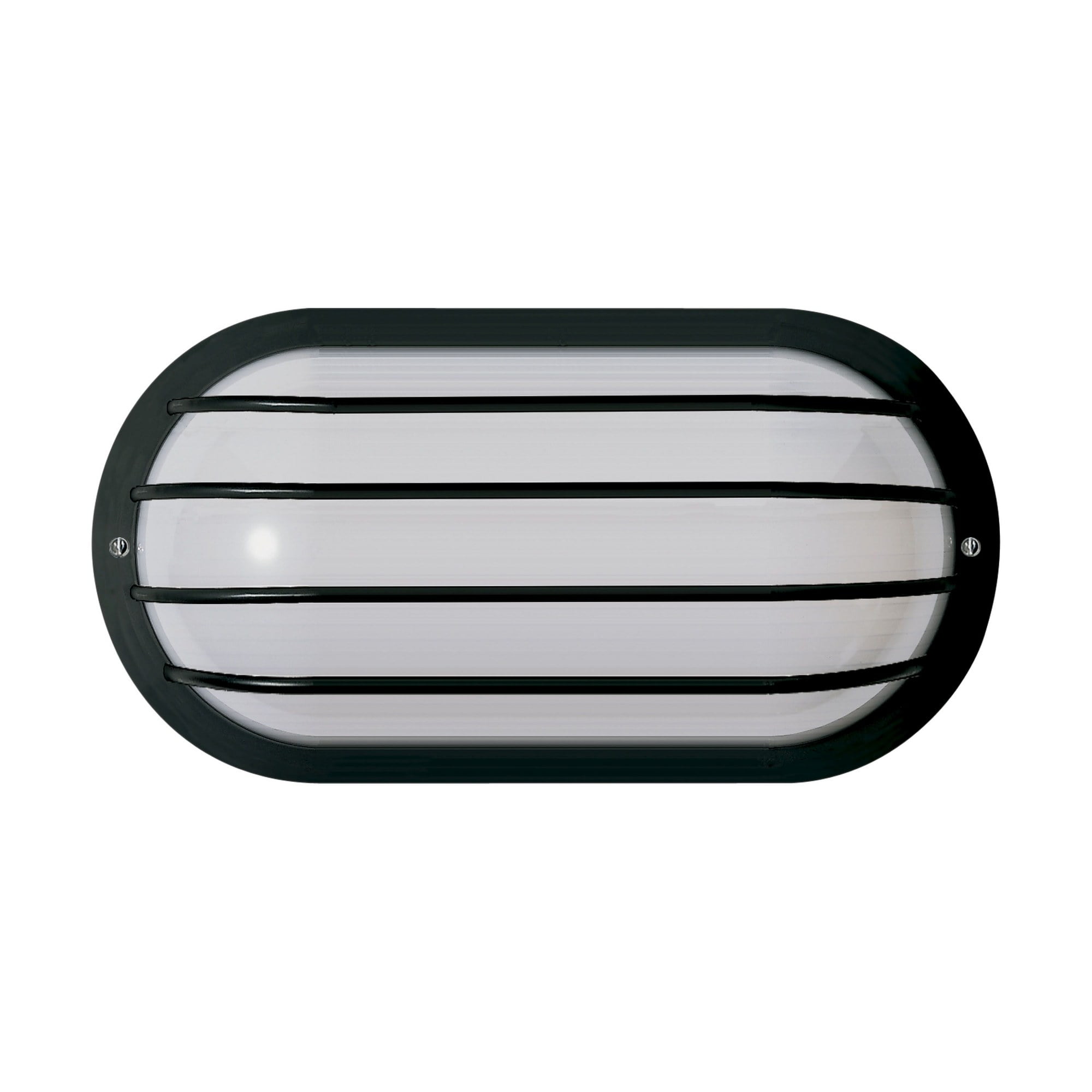 Black Oval Cage Outdoor Wall Sconce with Frosted Lens