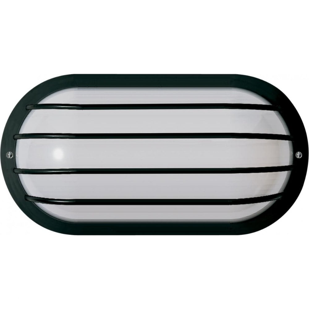 Black Oval Cage Outdoor Wall Sconce with Frosted Lens