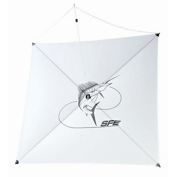 SFE Light Wind Kite 4-15MPH Kites