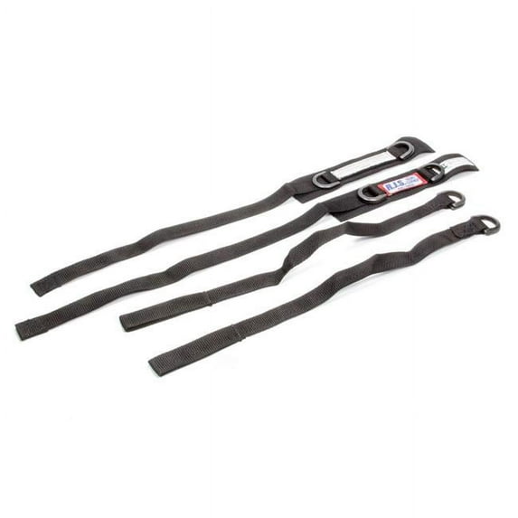 SFI 3.3 Arm Restraint Harness Individual Straps 1 in. D-Ring Black - Junior Dragster