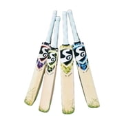 SG HP Ravage JUNIOR Cricket Bat 2024