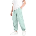 thumbnail image 1 of SGFCWSX Boys Athletic Pants Elastic Waist Elastic Cuffs Quick Dry Loose Fit Casual Jogger Trousers with Pockets for Kids Green Size 4-5 Years, 1 of 6
