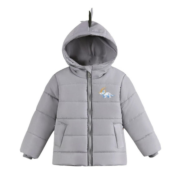 SGFCWSX Boys Girls Dinosaur Hooded Puffer Jacket Kids Warm Winter Coat Gray Size 4 Years