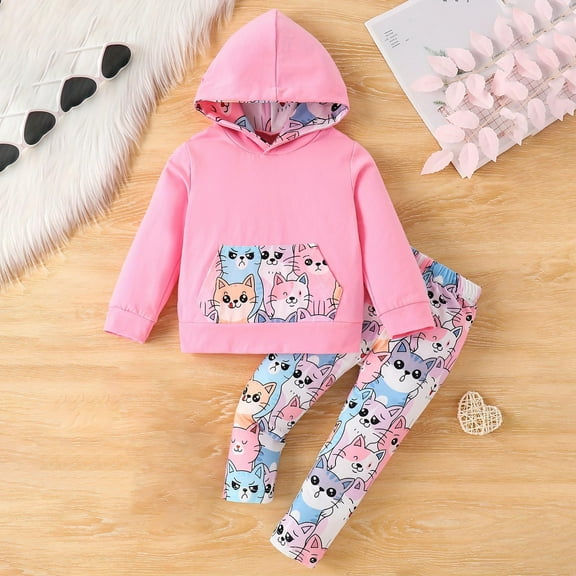 SGFCWSX Girls 2 Piece Sets Hoodie Fall Outfits Warm Super Skinny Leggings and Sweatshirts Set Pink Size 9 Months