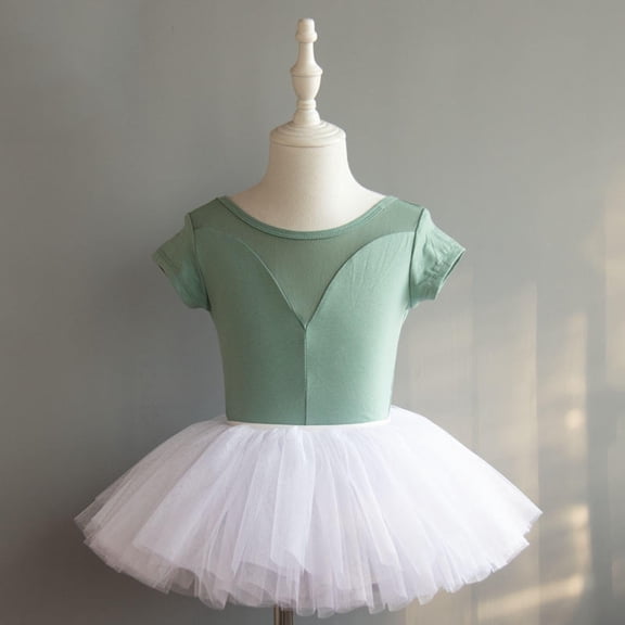 SGFCWSX Girls Ballet Tutu Dress Short Sleeve Mesh Ballerina Costume for Stage Performance Recital Dance Training Green Size 4-5 Years