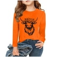 thumbnail image 1 of SGFCWSX Girls Long Sleeve Tops Round Neck Shirts Kids Fall Casual T-Shirts Orange Size 12-13 Years, 1 of 4