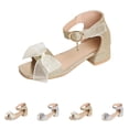 thumbnail image 1 of SGFCWSX Girls Princess Sandals Glitter Mesh Bow Ankle Strap Low Block Heel Open Toe Rhinestone Decor Sandals for Wedding Daily Wear Gold Size 1 Big Kids, 1 of 10