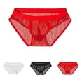 thumbnail image 1 of SGFCWSX Men's Sheer Mesh Briefs** Red L, 1 of 7