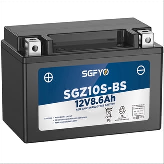 YTZ10S Motorcycle & Powersports Batteries