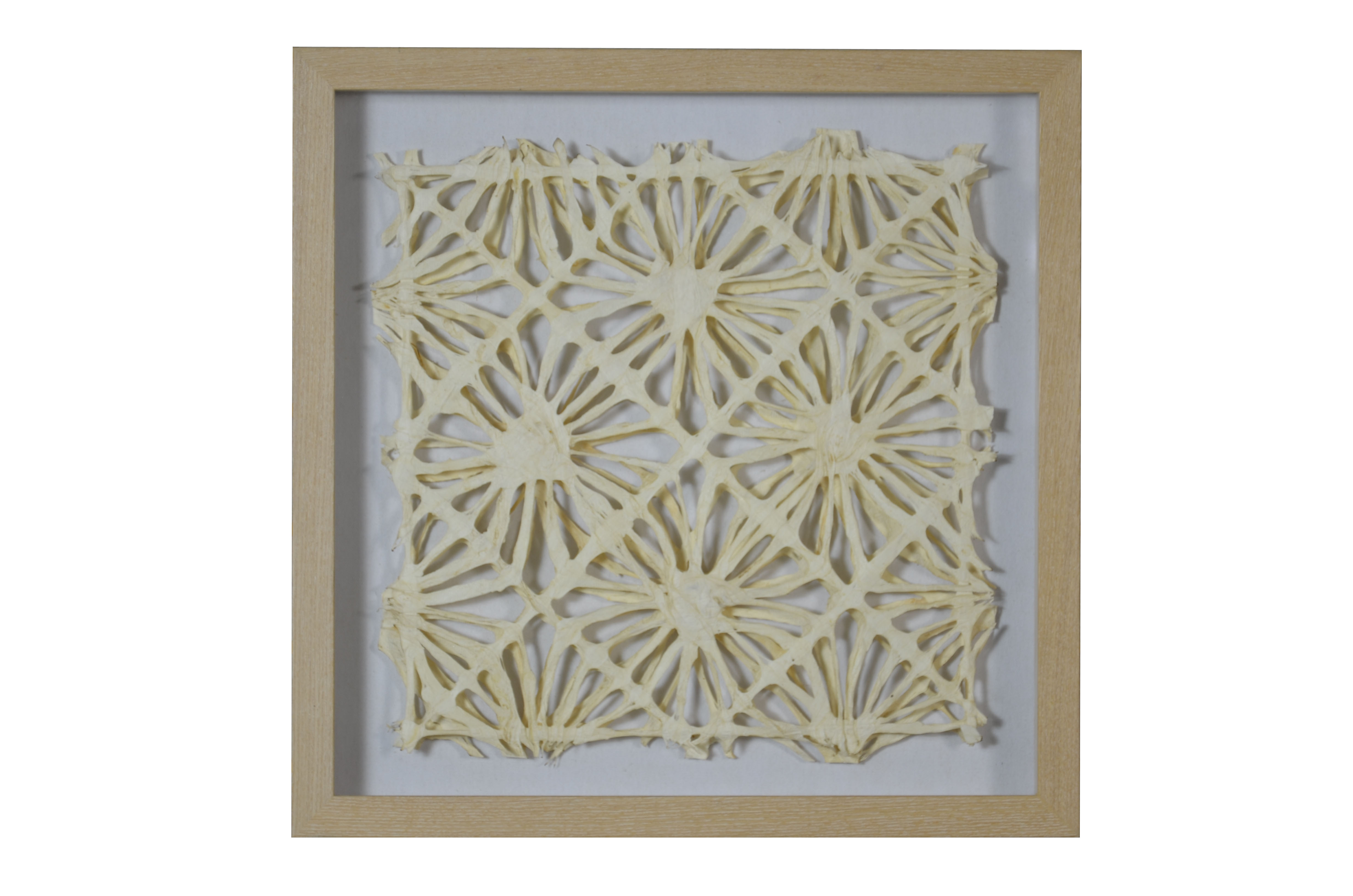 SGM1836Shadow Box 20 x 20