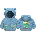 thumbnail image 1 of SGMVNU Baby Boys Girls Winter Coats with Bear Hoods Unisex Toddler Kids Lightweight Zipper up Down Jacket Snow Clothes(Size 4-5 Years,Light Green), 1 of 3