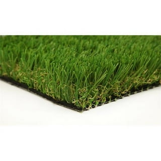 Everlast Imperial 15-ft W x Cut-to-Length Fescue Artificial Grass Everlast Imperial 15-ft W x Cut-to-Length Fescue Artificial Grass