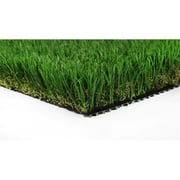 SGW Everlast RIVPRO805X10 Riviera Pro 120 x 60 x 1.75 in. Artificial Turf