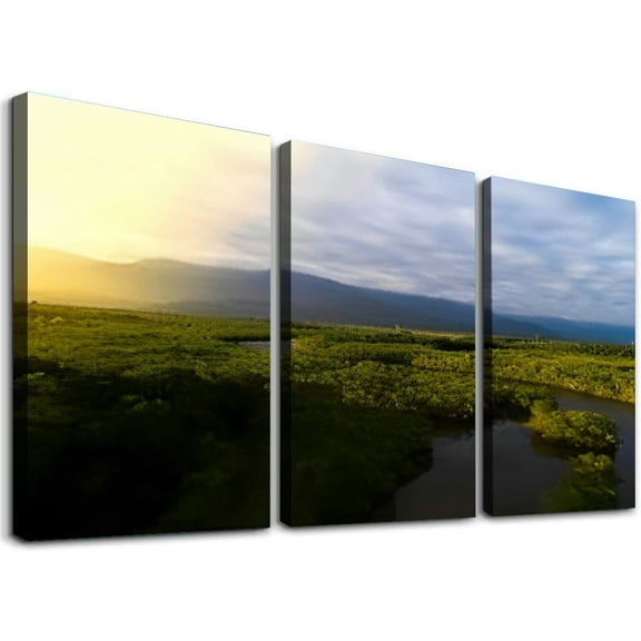 SHANXI Aerial View a Rainforest photo Canvas Wall Art Decor Pictures for Bedroom Wall Decor Above Bed Living Room Wall Decoration Bathroom Office Artwork 12"x16"x3pcs