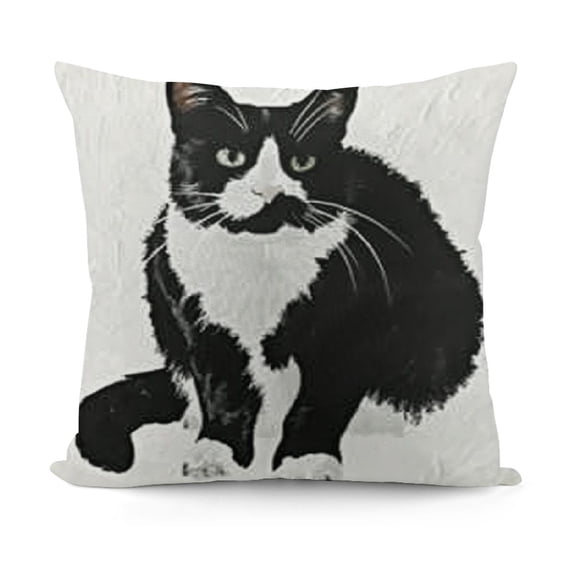 SHANXI Cat Kitty Themed Pillowcase Decorations for Home, Funny Quote I Just Freaking Love Tuxedo Cats Okay Throw Pillow Cover , Tuxedo Cats Gifts, Cat Lover Gifts 20x20in