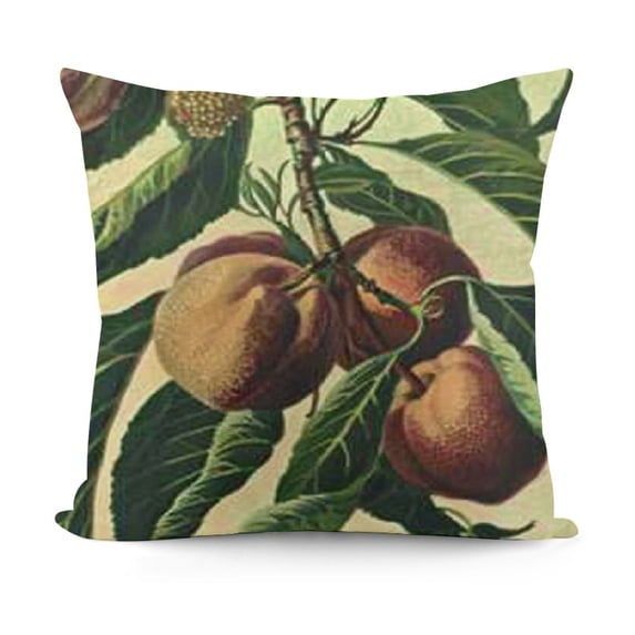 SHANXI DaDa Bedding -Pieces Tapestry Botanical Throw Pillow Covers - Red Peach Nectarines Floral Summer Fruits Blossom - Woven Needle Stitched Cushions Elegant Square Colorful Decor 24x24in