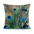 thumbnail image 1 of SHANXI Elegant Art Pillowcases 12x12in, 1 of 5