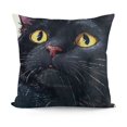 thumbnail image 1 of SHANXI Funny Cat Gifts, Mom Gifts, , Cat Gifts for , Cat Gifts for Women, Throw Pillowcase Flannel Sofa Couch Decorative Cushion Case 24x24in, 1 of 5