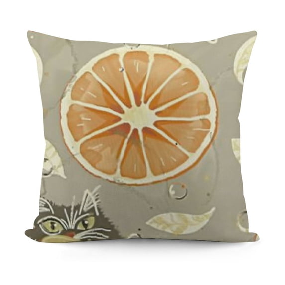 SHANXI Orange Orange Illustration Fruit Art Fruit Pillowcases Sofa 20x20in