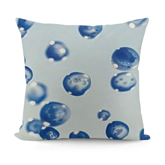SHANXI Outdoor Pillow Covers Blue Decor Waterproof Throw Pillow Covers Outdoor Waterproof Pillow Covers Decor for Patio Funiture Garden Sofa Couch 24x24in