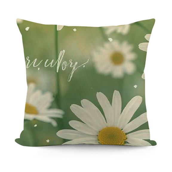 SHANXI Pillow Cover Watercolor Daisy Decorations Farmhouse Seasonal Pillow Case Decor for Sofa Couch 20x20in