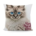 thumbnail image 1 of SHANXI Pillow Covers - Cat Lover Gifts for Women Cat Mom, Flannel Maine Coon Cat Throw Pillow Cases Cat Home Decor, Life is Better with a Cat 22x22in, 1 of 5