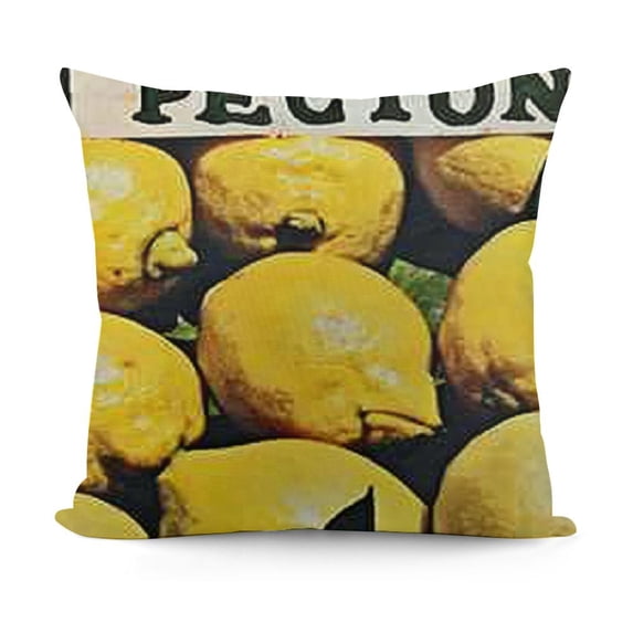 SHANXI Pillow Covers Fresh Decorative Case (Yellow ) 18x18in