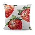 thumbnail image 1 of SHANXI Red White Strawberry Fruit Summer Slice Hand Drawn Fruit Pillowcases Sofa 22x22in, 1 of 5