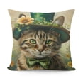 thumbnail image 1 of SHANXI St Patricks Day - Cat with Green Throw Saint Patrick’s Day Lucky Kitten Cushion Covers for Outdoor 22x22in, 1 of 5