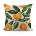 thumbnail image 1 of SHANXI  Summer Throw Pillow Covers Fruit Leaves Pillow Cases Lemon Orange Decorative Cushion Covers for Sofa Couch 22x22in, 1 of 5