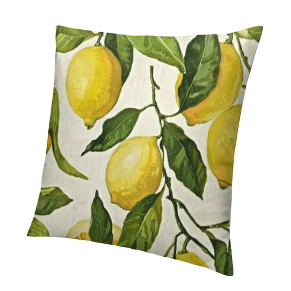 SHANXI Throw Pillow Case Decorative Pillow Case Cover 24x24in