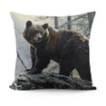 thumbnail image 1 of SHANXI Throw Pillow Case Pillow Throw 22x22in, 1 of 5