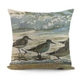 thumbnail image 1 of SHANXI  Throw Pillow Cover Ocean Sandpiper Beach Birds Watercolor in Sea Blue Kathie Decorative Pillow Case Home Decor Square  Pillowcase 20x20in, 1 of 5