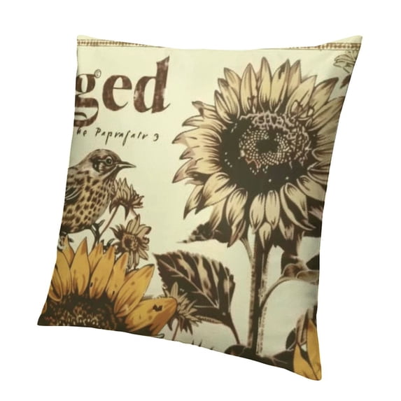 SHANXI Throw Pillow Covers Decorative 18x18in