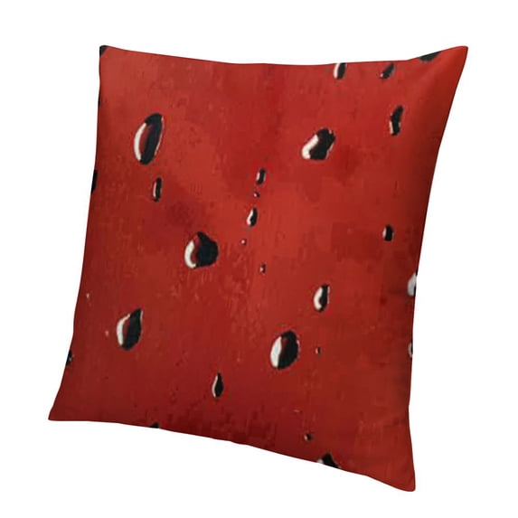 SHANXI Throw Pillow Covers Decorative Pillow Case 12x12in