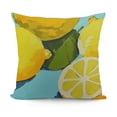 thumbnail image 1 of SHANXI Throw Pillow Covers Fruit Print Cushion Cover Soft Pillow Cases for Home Sofa Bed Chair Car Office Decorative 20x20in, 1 of 5