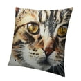 thumbnail image 1 of SHANXI Throw Pillow Covers Home Decor Cat Cute Pillow Cases Decorative 12x12in, 1 of 5