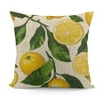 thumbnail image 1 of SHANXI Throw Pillow Covers Lemons Fruit Leaves Yellow Pillow Cases Waist Lumbar Cushion Cover Sofa Home Decorative Rectangle  18x18in, 1 of 5