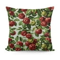 thumbnail image 1 of SHANXI Throw Pillow , Red s and Green Leaves Garden Harvest Eating Clean Theme Print, Decorative 22x22in, 1 of 5
