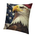 thumbnail image 1 of SHANXI and USA Flag, American Flag Decorative Square Pillowcases 22x22in, 1 of 5