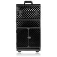 thumbnail image 1 of SHANY REBEL Series Pro Makeup Artists Rolling Train Case - Trolley Case - Curious Black Cat, 1 of 5