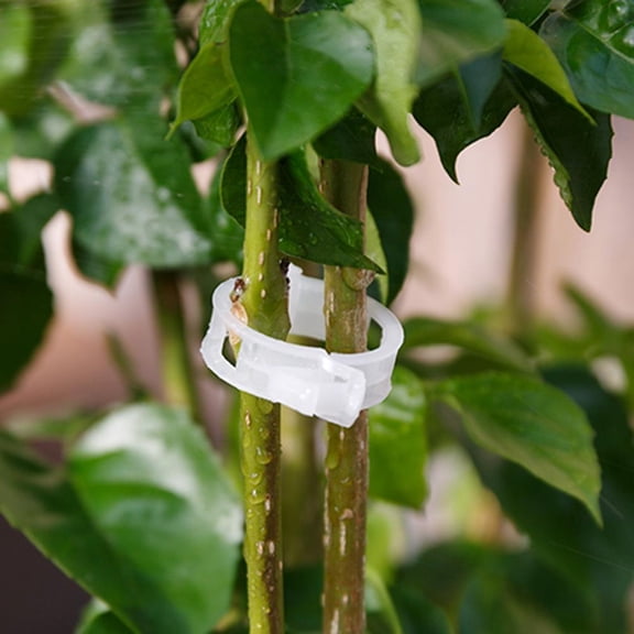 SHAPERME 50/100Pcs Tomato Veggie Garden Plant Support Clips For Trellis Twine Greenhouse