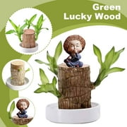 SHAPERME Brazilian Lucky Wood Plant Brazilian Wood Hydroponic Plant w/ Base HOT!