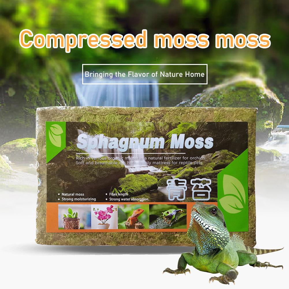 SHAPERME Compressed Moss Natural Pet Moisturizing Bedding