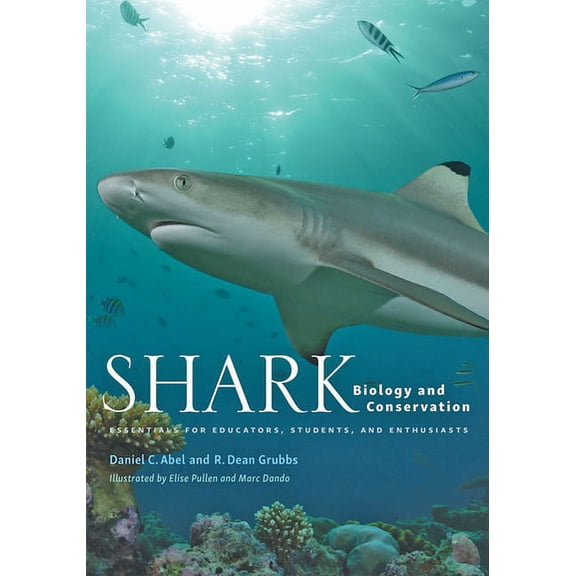 Shark Biology and Conservation: Essentials for Educators, Students, and Enthusiasts, (Hardcover)