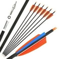 thumbnail image 1 of SHARROW 30" Carbon Arrow 4" Feather SP500 Archery Recurve Compound Bow Hunting(12 Pack), 1 of 7